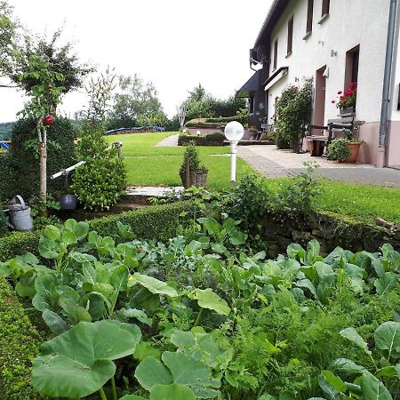 Ferienwohnung Huegelhaus Plutscheid Ngoại thất bức ảnh